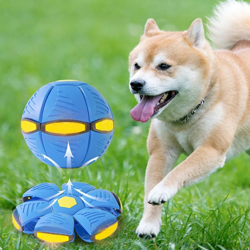 Dog Toys Magic Funny Pet Toy Flying Saucer Outdoor Dog Training Toy Pelota Perro Dogs Accessoires Futurism Saucer Ball