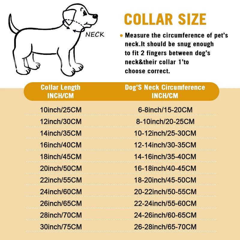 Heavy Duty Dog Choke Collar Slip Dog P Chain Snake Collar Plating Anti-Rust Dog Training Collars for Small Large Dogs Black/Gold