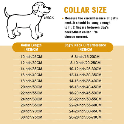 Heavy Duty Dog Choke Collar Slip Dog P Chain Snake Collar Plating Anti-Rust Dog Training Collars for Small Large Dogs Black/Gold