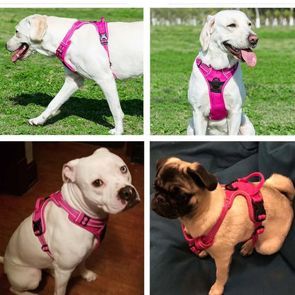 Pet Dog Harness Reflective Adjustable Breathable Vest Chest Strap for Small Medium Large Dogs Cat Puppy Collar Dog Accessoires